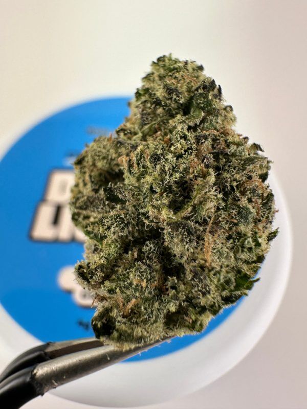 Doughlicious Blueberry Cupcake Exotic Thca Flower - Hybrid