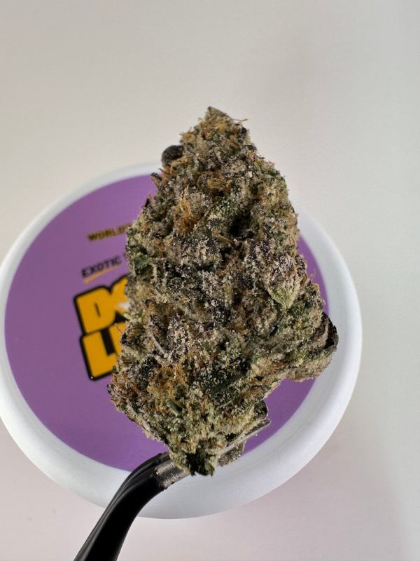 Doughlicious Bubblegum Gelato Exotic Thca Flower - Indica