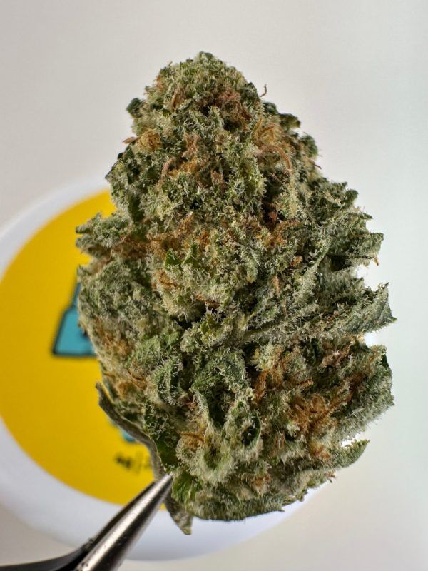 Doughlicious Laffy Taffy Exotic Thca Flower - Sativa