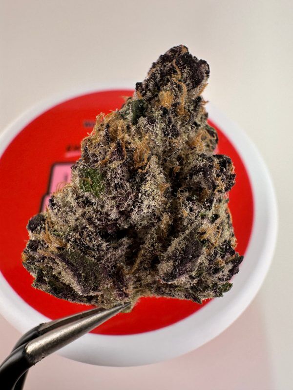 Doughlicious Red Velvet Cake Exotic Thca Flower - Hybrid