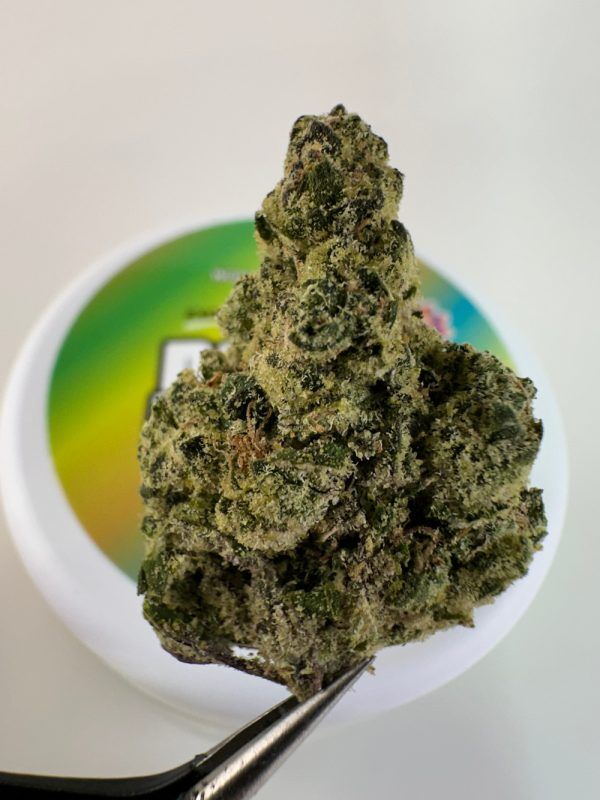 Doughlicious Tropical Popsicle Exotic Thca Flower - Indica