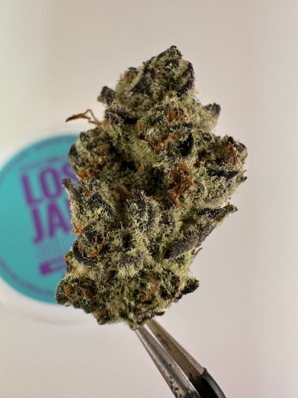 Lost Jane Biscotti Gushers Exotic Thca Flower - 4G - Indica