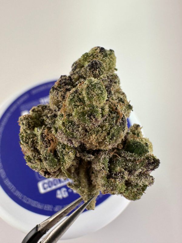 Lost Jane Cookies &Amp; Dream Exotic Thca Flower - 4G - Hybrid