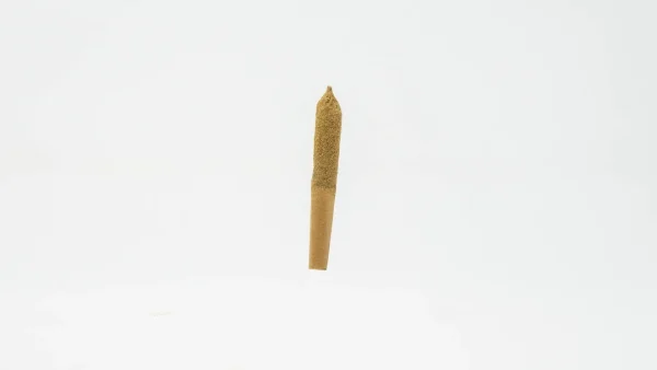Coast Smokes Thca-Infused 5Ct 0.5G Prerolls
