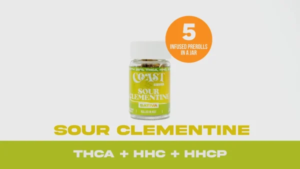 Coast Smokes Thca-Infused 5Ct 0.5G Prerolls - Sour Clementine