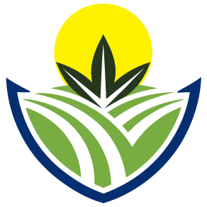 Bulk CBD Wholesale Distributors