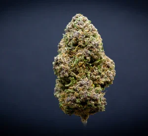 Banana Daddy Light Assist THCA Flower