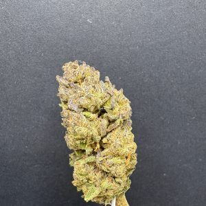 Sherb Cream Pie Light Assist THCA Flower