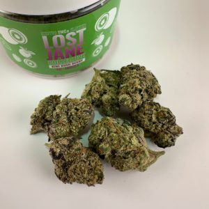 Lost Jane Kiwi Kush Berry Exotic THCA Flower - 4g - Indica