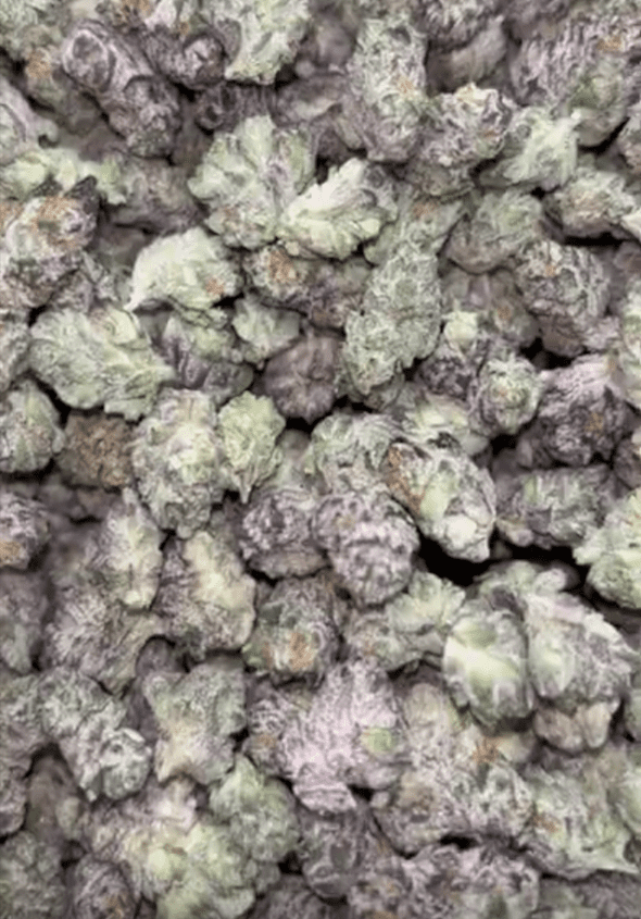 Gas Face Smalls Zaza THCA Flower